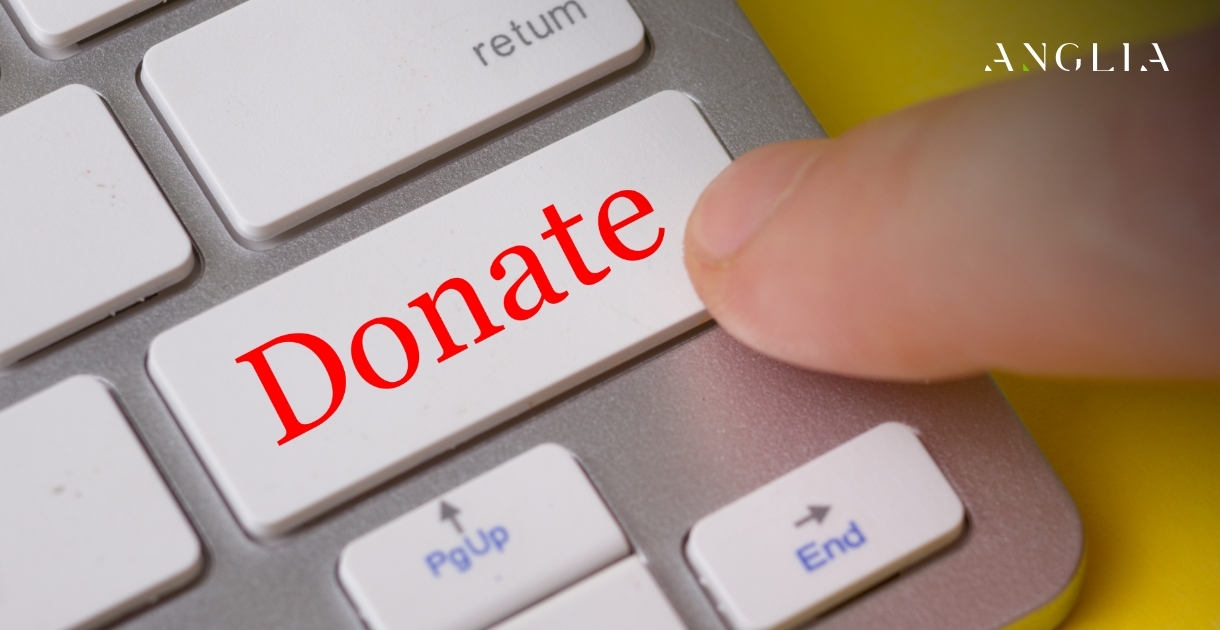 The Trust Factor: How Professional Web Design Doubles Online Donations